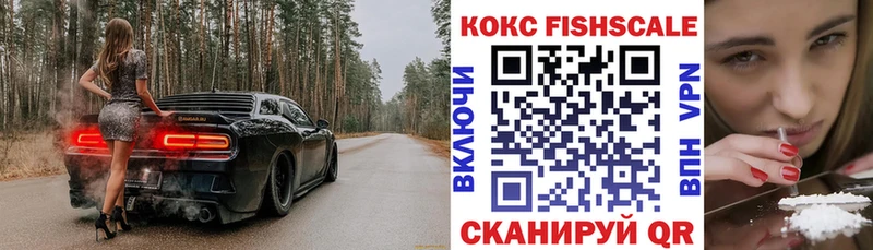 COCAIN Fish Scale закладка мега ссылки Каспийск