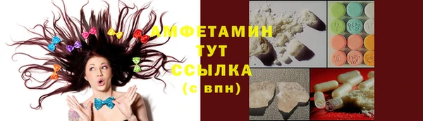 молекула духа Арсеньев