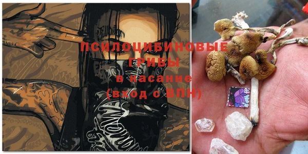 молекула духа Арсеньев