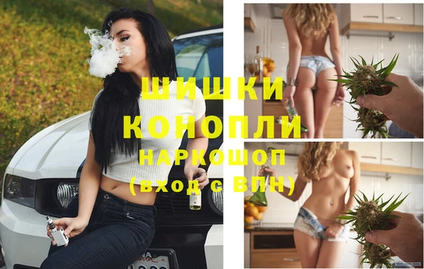 молекула духа Арсеньев