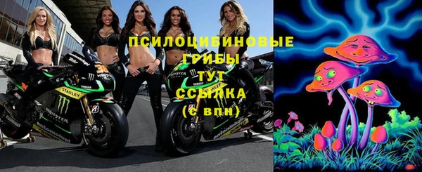 СК Армянск