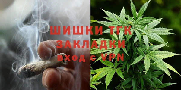 амф Зеленокумск